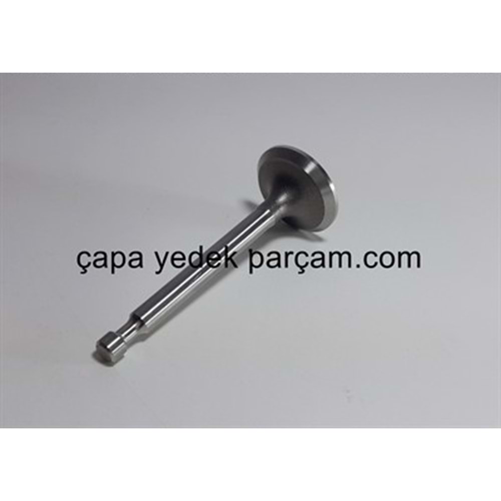 SUPAP-EGZOZ CAP28
