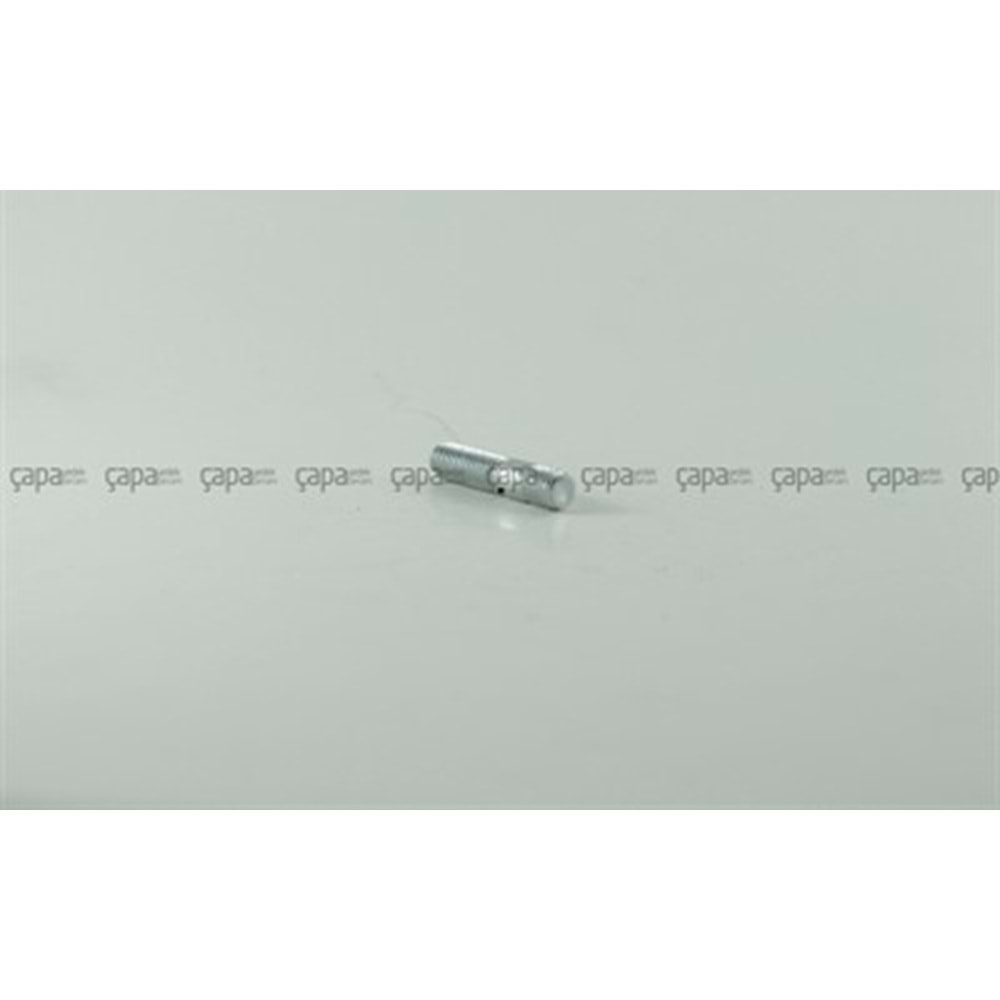 SAPLAMA M8X21 - 10,9 - Zn.b + Dacr.