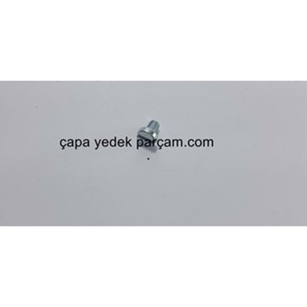 VIDA M4X6 DIN84 TEL BAŞLIĞI