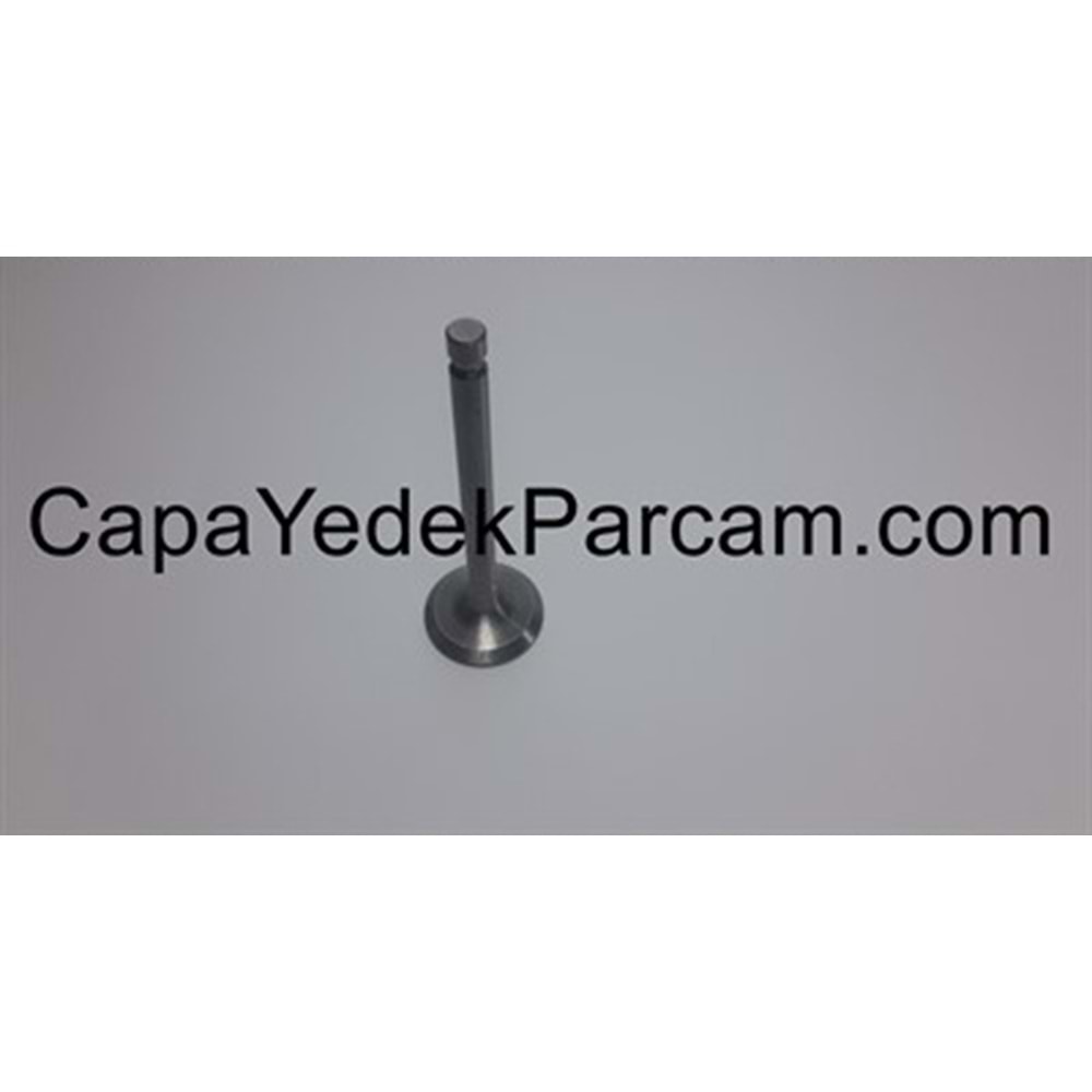 VİR.T14721Z4V900 SUPAP-EGZOZ GX160-200